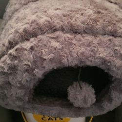 Cat Bungalow W/Toy Ball