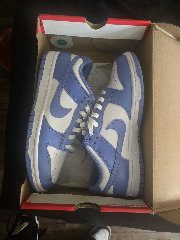 Nike Dunks