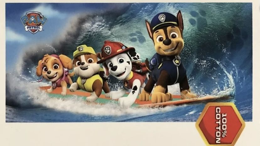 New Paw Patrol Surfing Chase Marshall Skye 100% cotton large 28 inch x 58 inch beach towel