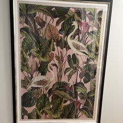 Framed Swan print