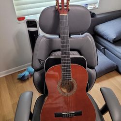 Esteban Guitar 