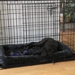Collapsible Wire Dog Crate 42 Inch