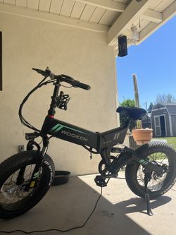 Electric bike Wooken