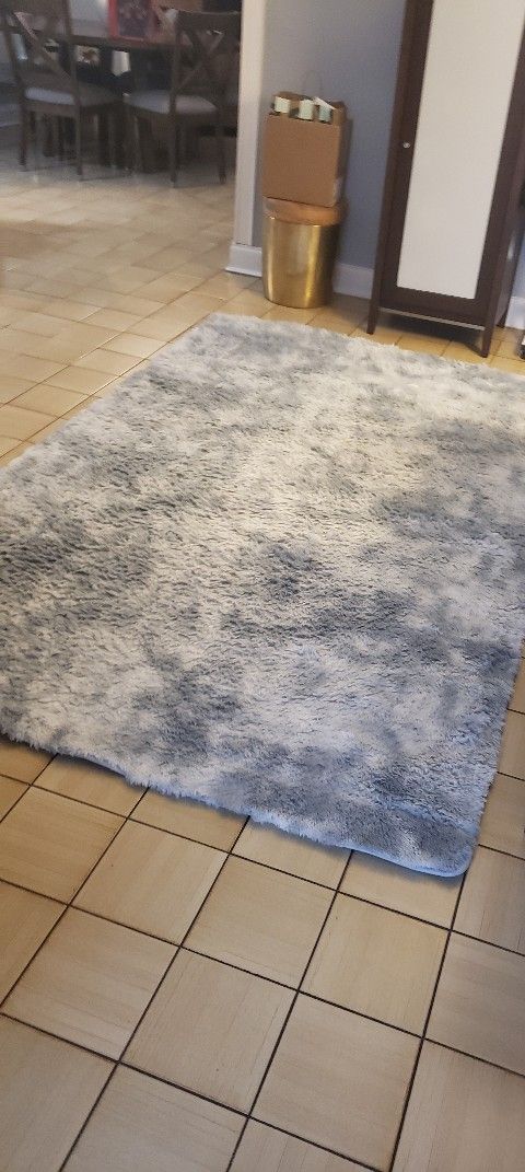 Interior Rug 