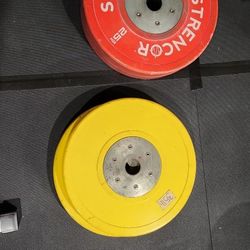 Bumper Weight Plates 