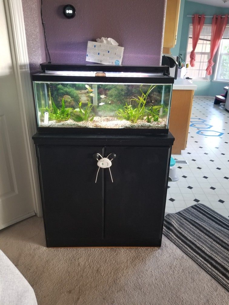 Aquarium Whole Set