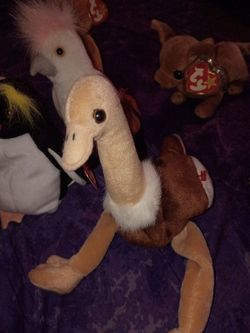 Beanie babies
