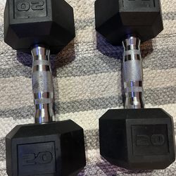 Pair Of 20 Pound Dumbbells