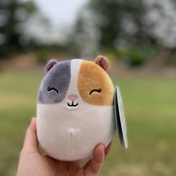 squishmallow 5”