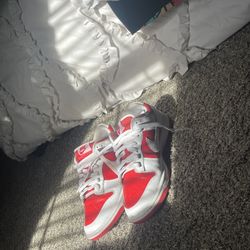 Nike Dunk Lows + 2 Streetwear Shirts (small)