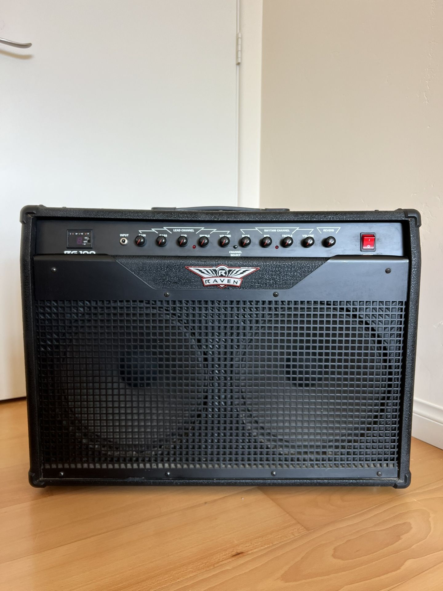 Raven RG100 Guitar Amp (100 Watts)