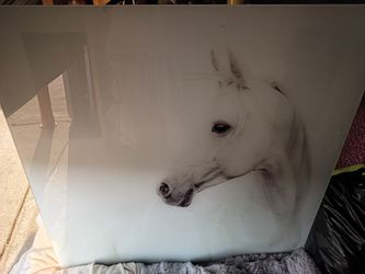 Glass white horse painting of horse