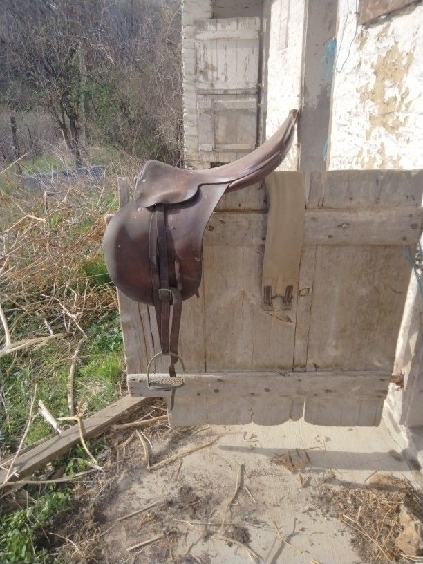 Horse Riding Saddle