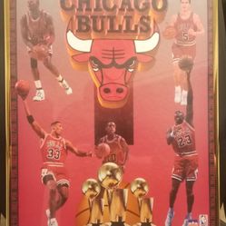 CHICAGO BULLS THREE PEAT POSTER WITH FRAME AND 6 MICHAEL JORDAN PICTURES FROM A MAGAZINE