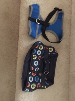 Pet harness
