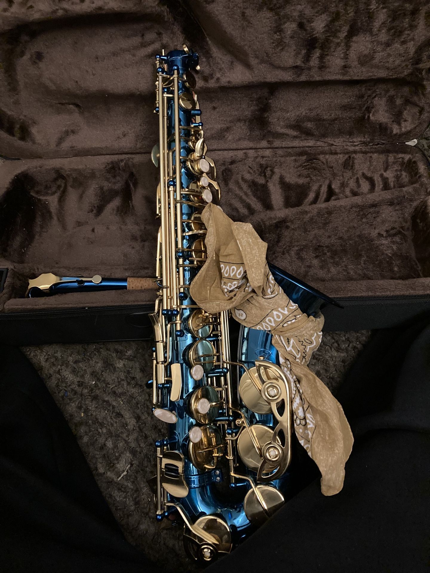 Blue And Gold Eastrock Alto Saxophone