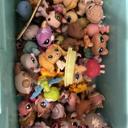 littlest pet shop