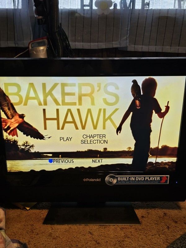 Polaroid Flat-screen TV