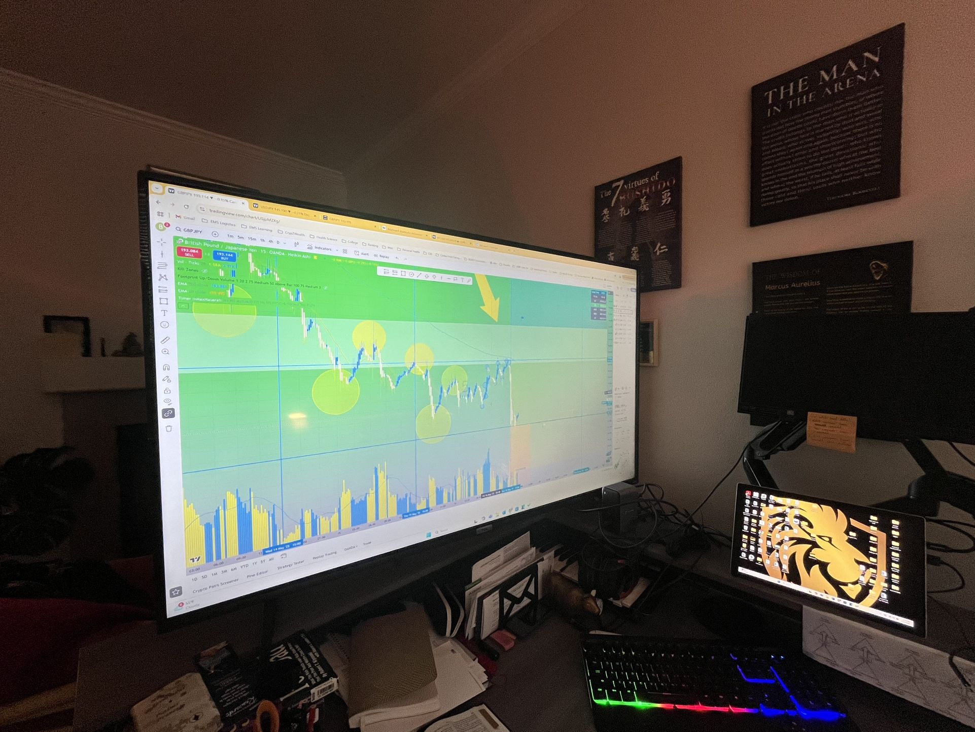 TCL 55”
