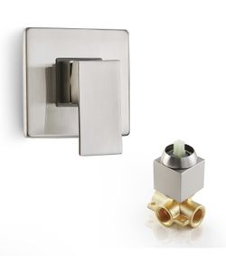 Shower Handle w/ Valve