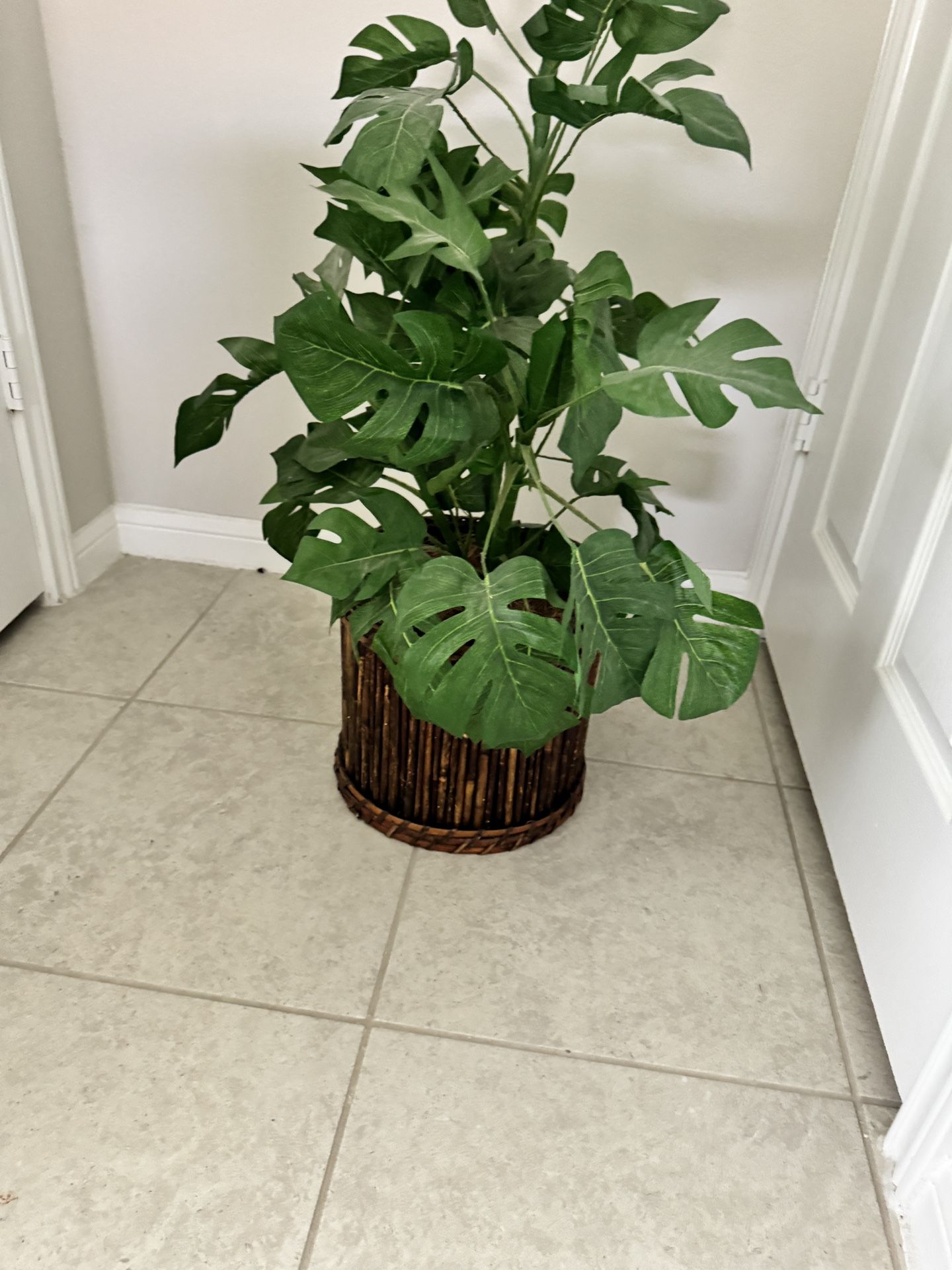 Fake Plant