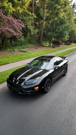 Pontiac Firebird Trans Am WS6
