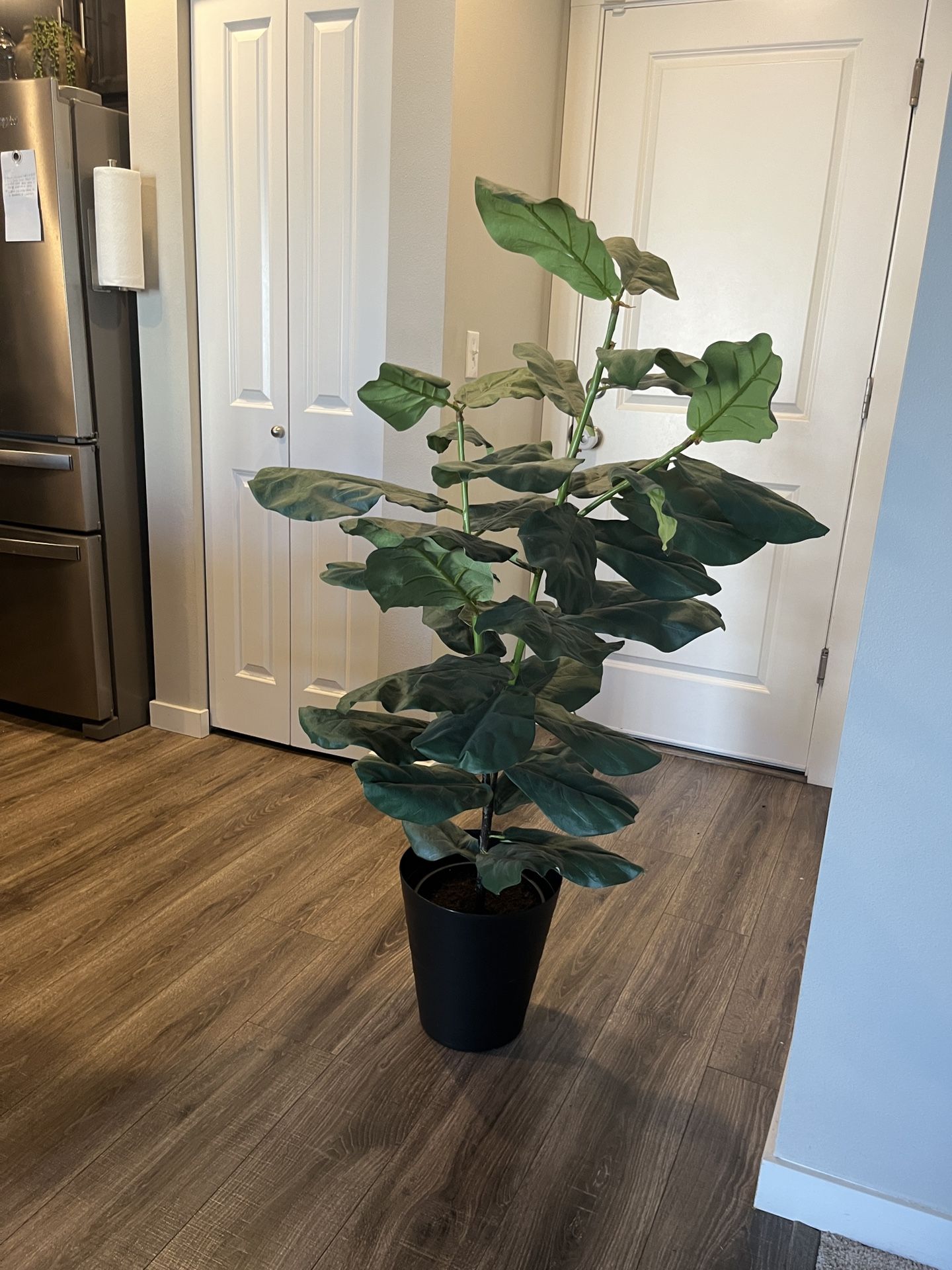 Beautiful World Market Big Faux Fiddle Fig Plant !