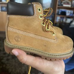 Timberland Toddler 7