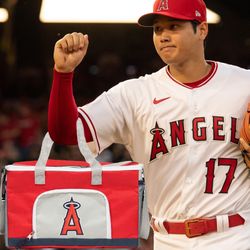Angels Cooler Bag 5/9 Game