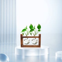 Desktop Wood Stand Hydroponic Plants Glass Vases Set 