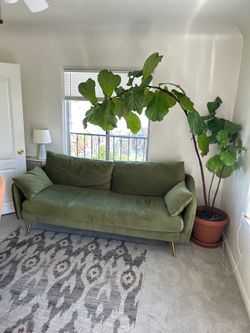 Use velvet green sofa with table.