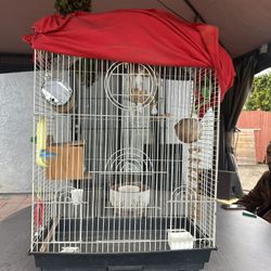 Bird Cage 