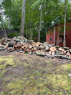 Wood