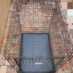 MidWest Homes for Pets Ovation Single Door Dog Crate, 42-Inch🐈🐕🦮🐕‍🦺(5 )accesories included