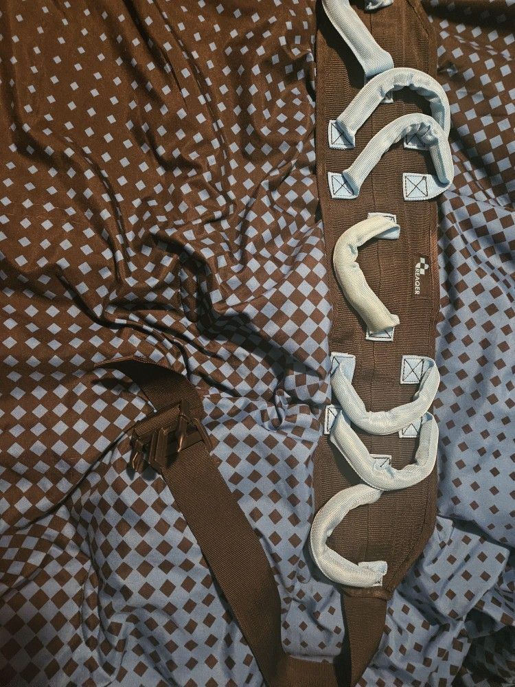Transfer Belt