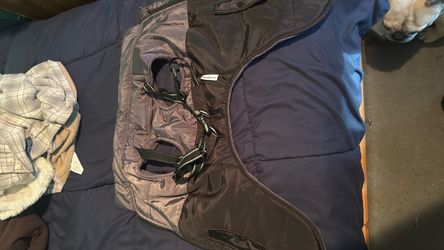 Dog Winter Coat with Harness