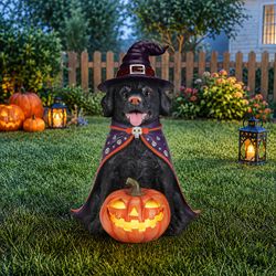 Halloween Black Labrador Retriever Dog Statue, Large Sitting Dog Figurine with Witch Hat & Cape, LED Light Up Jack-O-Lantern Pumpkin