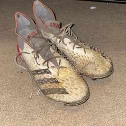 Predators