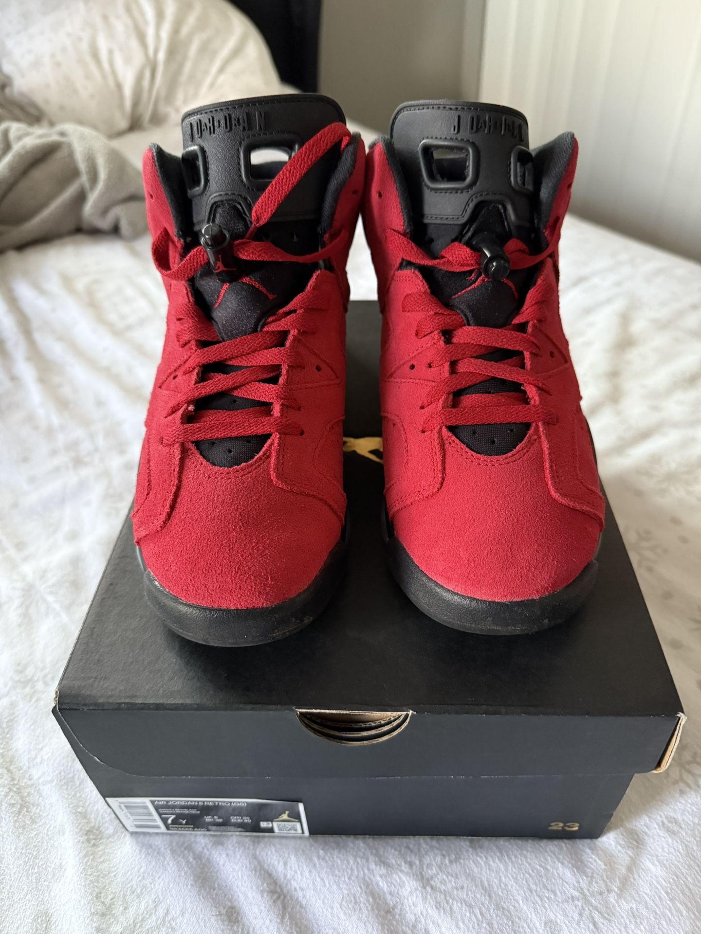 Jordan 6 Toro