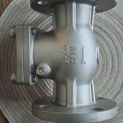 Check Valve 2"