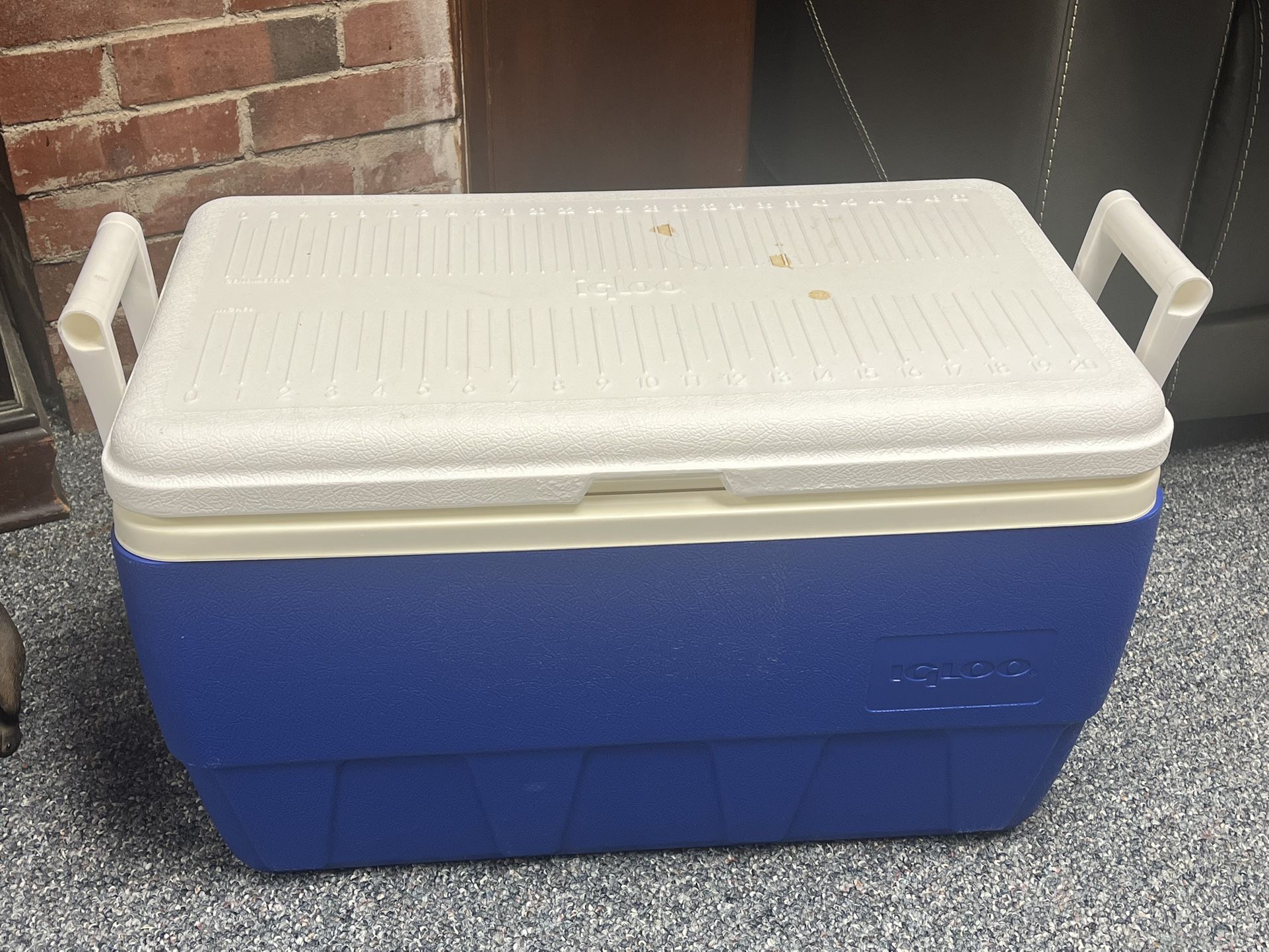 Coleman Cooler 