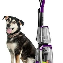 Bissell Deep Cleaner