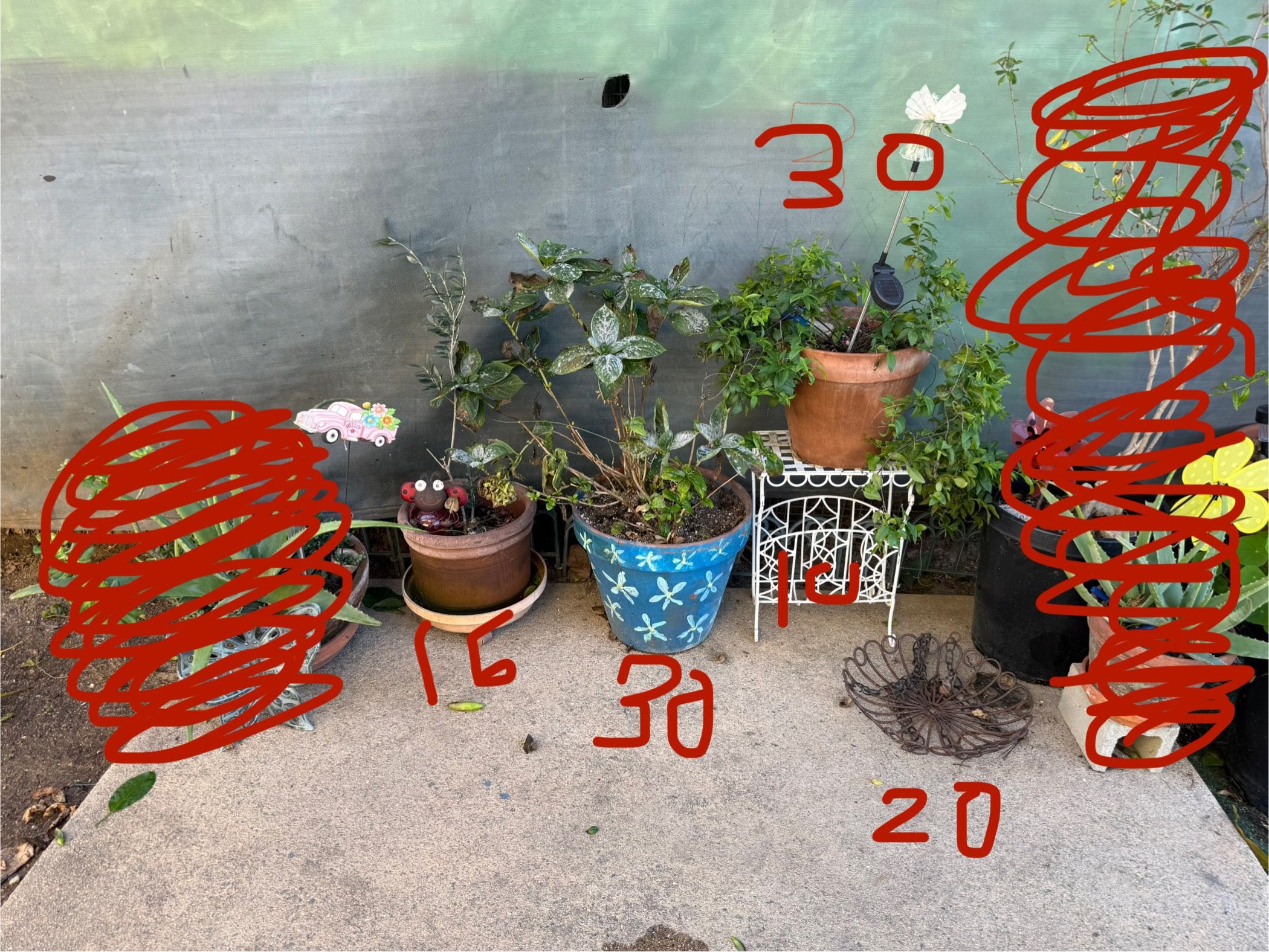 Several Plants In Planters Pots