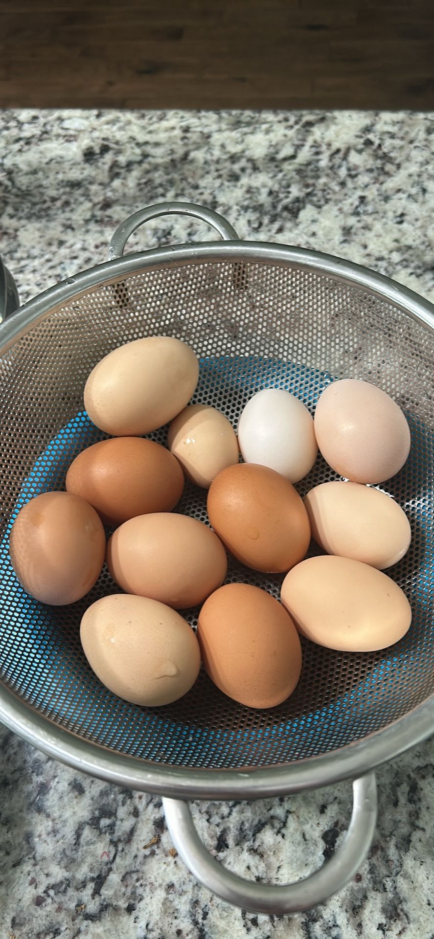 Eggs Farm