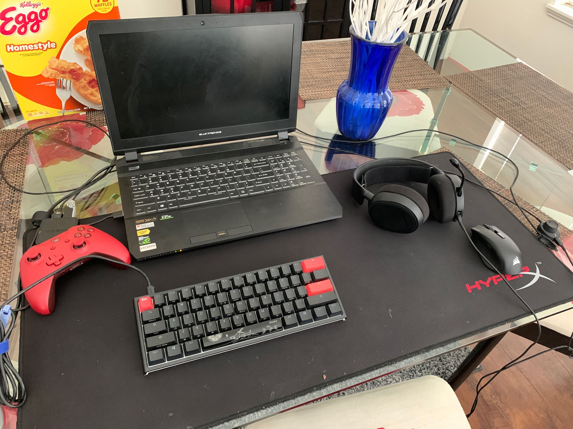 Eluktronics Gaming Laptop/ setup