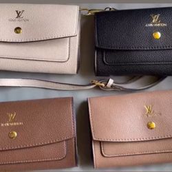 Louis Vuitton Wallet bundle 
