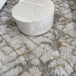 Ivory Gold Area Rug 9x12