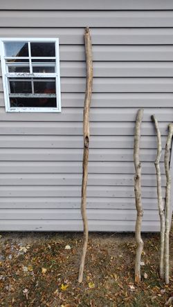 Walking Stick Wood