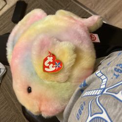 This Is A Fish Beanie Baby