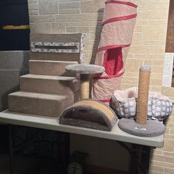 CAT 6 Play Set Up 